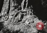 Standbild State Parks California United States USA, 1935, aus Sekunde 17 historischem Filmmaterial Videoclip 65675066949
