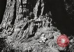 Standbild State Parks California United States USA, 1935, aus Sekunde 19 historischem Filmmaterial Videoclip 65675066949
