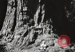 Standbild State Parks California United States USA, 1935, aus Sekunde 21 historischem Filmmaterial Videoclip 65675066949