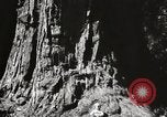 Standbild State Parks California United States USA, 1935, aus Sekunde 22 historischem Filmmaterial Videoclip 65675066949
