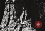 Standbild State Parks California United States USA, 1935, aus Sekunde 24 historischem Filmmaterial Videoclip 65675066949
