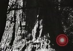 Standbild State Parks California United States USA, 1935, aus Sekunde 25 historischem Filmmaterial Videoclip 65675066949
