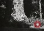 Standbild State Parks California United States USA, 1935, aus Sekunde 26 historischem Filmmaterial Videoclip 65675066949