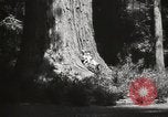 Standbild State Parks California United States USA, 1935, aus Sekunde 29 historischem Filmmaterial Videoclip 65675066949