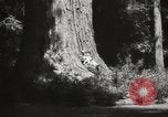 Standbild State Parks California United States USA, 1935, aus Sekunde 30 historischem Filmmaterial Videoclip 65675066949