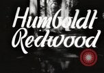 Standbild Humboldt Redwoods State Park California United States USA, 1935, aus Sekunde 1 historischem Filmmaterial Videoclip 65675066950