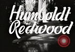 Standbild Humboldt Redwoods State Park California United States USA, 1935, aus Sekunde 3 historischem Filmmaterial Videoclip 65675066950