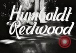 Standbild Humboldt Redwoods State Park California United States USA, 1935, aus Sekunde 4 historischem Filmmaterial Videoclip 65675066950