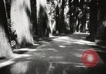 Standbild Humboldt Redwoods State Park California United States USA, 1935, aus Sekunde 8 historischem Filmmaterial Videoclip 65675066950