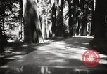 Standbild Humboldt Redwoods State Park California United States USA, 1935, aus Sekunde 9 historischem Filmmaterial Videoclip 65675066950