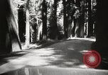 Standbild Humboldt Redwoods State Park California United States USA, 1935, aus Sekunde 10 historischem Filmmaterial Videoclip 65675066950