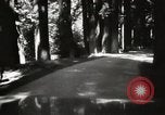 Standbild Humboldt Redwoods State Park California United States USA, 1935, aus Sekunde 11 historischem Filmmaterial Videoclip 65675066950