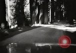 Standbild Humboldt Redwoods State Park California United States USA, 1935, aus Sekunde 12 historischem Filmmaterial Videoclip 65675066950