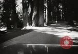 Standbild Humboldt Redwoods State Park California United States USA, 1935, aus Sekunde 13 historischem Filmmaterial Videoclip 65675066950