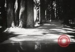 Standbild Humboldt Redwoods State Park California United States USA, 1935, aus Sekunde 14 historischem Filmmaterial Videoclip 65675066950
