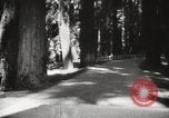 Standbild Humboldt Redwoods State Park California United States USA, 1935, aus Sekunde 15 historischem Filmmaterial Videoclip 65675066950