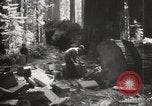 Standbild Humboldt Redwoods State Park California United States USA, 1935, aus Sekunde 16 historischem Filmmaterial Videoclip 65675066950