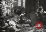 Standbild Humboldt Redwoods State Park California United States USA, 1935, aus Sekunde 17 historischem Filmmaterial Videoclip 65675066950