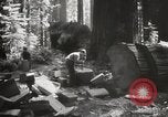 Standbild Humboldt Redwoods State Park California United States USA, 1935, aus Sekunde 18 historischem Filmmaterial Videoclip 65675066950