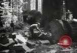 Standbild Humboldt Redwoods State Park California United States USA, 1935, aus Sekunde 19 historischem Filmmaterial Videoclip 65675066950