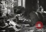 Standbild Humboldt Redwoods State Park California United States USA, 1935, aus Sekunde 21 historischem Filmmaterial Videoclip 65675066950