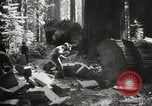 Standbild Humboldt Redwoods State Park California United States USA, 1935, aus Sekunde 22 historischem Filmmaterial Videoclip 65675066950