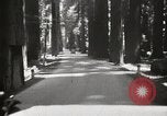 Standbild Humboldt Redwoods State Park California United States USA, 1935, aus Sekunde 23 historischem Filmmaterial Videoclip 65675066950