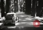 Standbild Humboldt Redwoods State Park California United States USA, 1935, aus Sekunde 24 historischem Filmmaterial Videoclip 65675066950