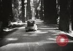 Standbild Humboldt Redwoods State Park California United States USA, 1935, aus Sekunde 25 historischem Filmmaterial Videoclip 65675066950
