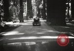 Standbild Humboldt Redwoods State Park California United States USA, 1935, aus Sekunde 26 historischem Filmmaterial Videoclip 65675066950