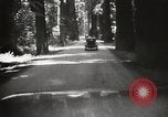 Standbild Humboldt Redwoods State Park California United States USA, 1935, aus Sekunde 27 historischem Filmmaterial Videoclip 65675066950