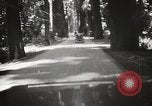 Standbild Humboldt Redwoods State Park California United States USA, 1935, aus Sekunde 28 historischem Filmmaterial Videoclip 65675066950