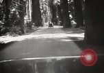 Standbild Humboldt Redwoods State Park California United States USA, 1935, aus Sekunde 29 historischem Filmmaterial Videoclip 65675066950