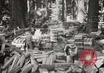 Standbild Humboldt Redwoods State Park California United States USA, 1935, aus Sekunde 31 historischem Filmmaterial Videoclip 65675066950