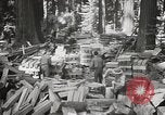 Standbild Humboldt Redwoods State Park California United States USA, 1935, aus Sekunde 32 historischem Filmmaterial Videoclip 65675066950