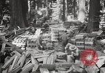 Standbild Humboldt Redwoods State Park California United States USA, 1935, aus Sekunde 33 historischem Filmmaterial Videoclip 65675066950