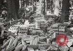 Standbild Humboldt Redwoods State Park California United States USA, 1935, aus Sekunde 34 historischem Filmmaterial Videoclip 65675066950
