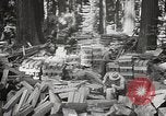 Standbild Humboldt Redwoods State Park California United States USA, 1935, aus Sekunde 35 historischem Filmmaterial Videoclip 65675066950