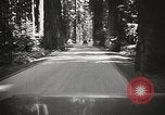 Standbild Humboldt Redwoods State Park California United States USA, 1935, aus Sekunde 36 historischem Filmmaterial Videoclip 65675066950