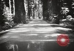 Standbild Humboldt Redwoods State Park California United States USA, 1935, aus Sekunde 37 historischem Filmmaterial Videoclip 65675066950
