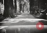 Standbild Humboldt Redwoods State Park California United States USA, 1935, aus Sekunde 38 historischem Filmmaterial Videoclip 65675066950