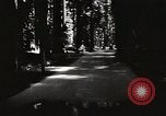 Standbild Humboldt Redwoods State Park California United States USA, 1935, aus Sekunde 39 historischem Filmmaterial Videoclip 65675066950