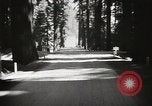 Standbild Humboldt Redwoods State Park California United States USA, 1935, aus Sekunde 40 historischem Filmmaterial Videoclip 65675066950
