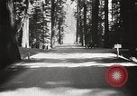 Standbild Humboldt Redwoods State Park California United States USA, 1935, aus Sekunde 41 historischem Filmmaterial Videoclip 65675066950