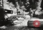 Standbild Humboldt Redwoods State Park California United States USA, 1935, aus Sekunde 44 historischem Filmmaterial Videoclip 65675066950