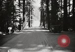 Standbild Humboldt Redwoods State Park California United States USA, 1935, aus Sekunde 50 historischem Filmmaterial Videoclip 65675066950