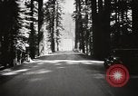 Standbild Humboldt Redwoods State Park California United States USA, 1935, aus Sekunde 51 historischem Filmmaterial Videoclip 65675066950