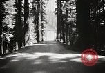 Standbild Humboldt Redwoods State Park California United States USA, 1935, aus Sekunde 52 historischem Filmmaterial Videoclip 65675066950
