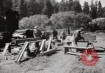 Standbild Humboldt Redwoods State Park California United States USA, 1935, aus Sekunde 61 historischem Filmmaterial Videoclip 65675066950