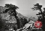 Standbild Mount San Jacinto State Park California United States USA, 1935, aus Sekunde 22 historischem Filmmaterial Videoclip 65675066951
